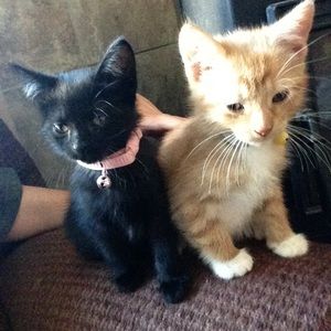 Meet your Posher, Christa